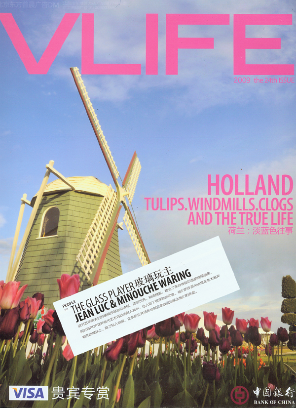 VLIFE cover picture